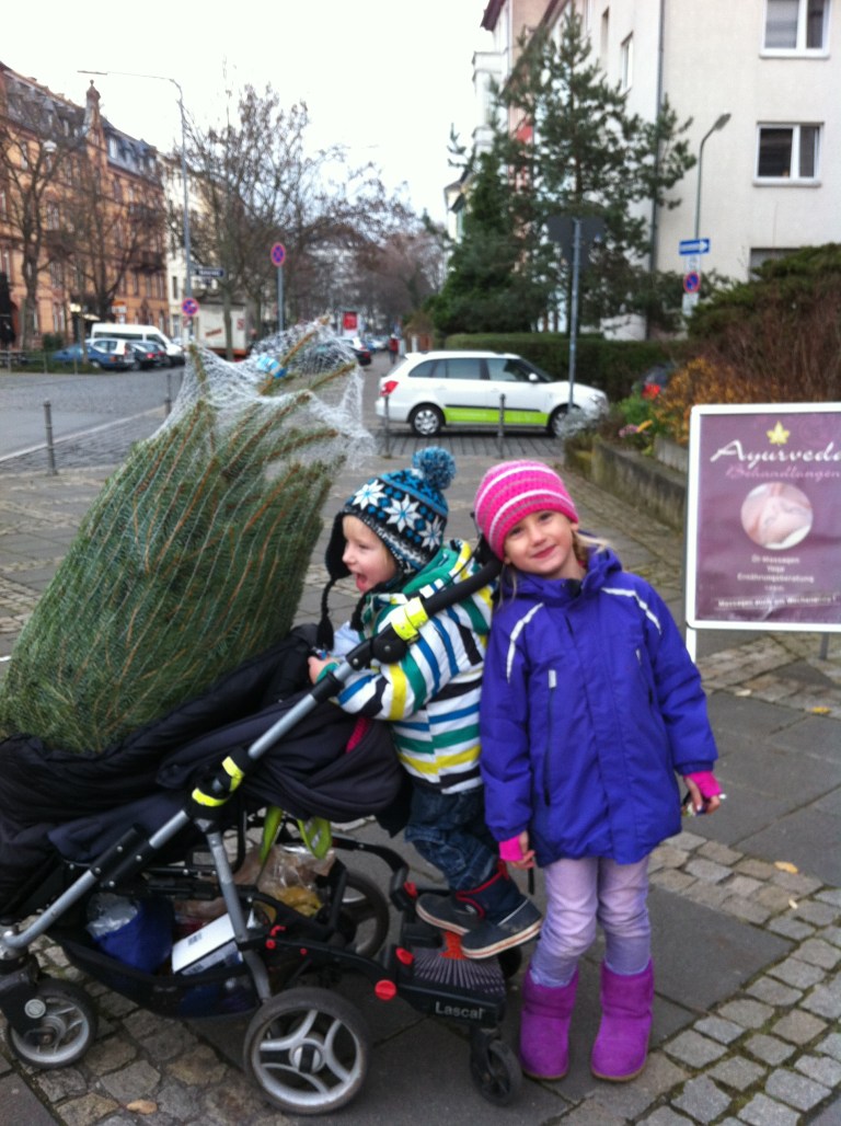 Da sitzt er unser kleiner Weihnachtsbaum