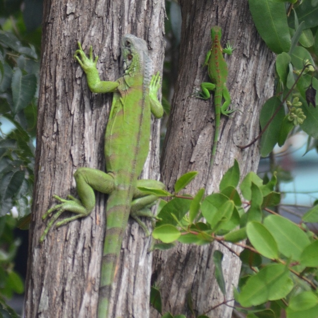 Finally arrived in Chaguaramas, Trinidad