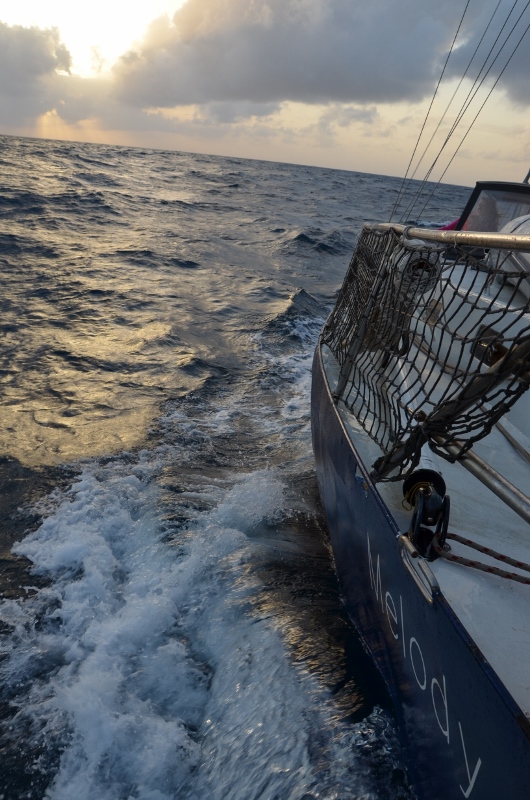 Prickly Bay, Grenada