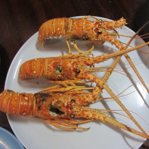 62 IMG_1290 (800x800)