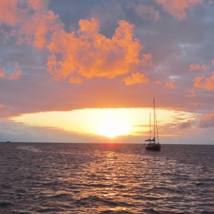 63 IMG_1274 (800x800)