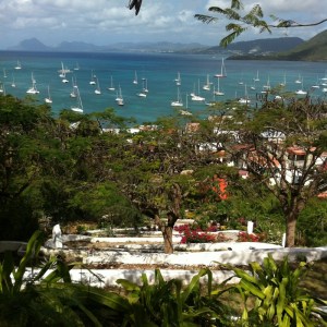 71 IMG_0690 (800x800)