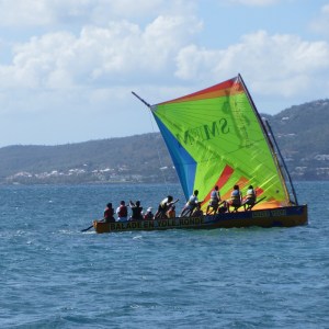 82 IMG_1315 (800x800)