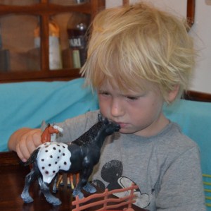 94 DSC_0305 (800x798)