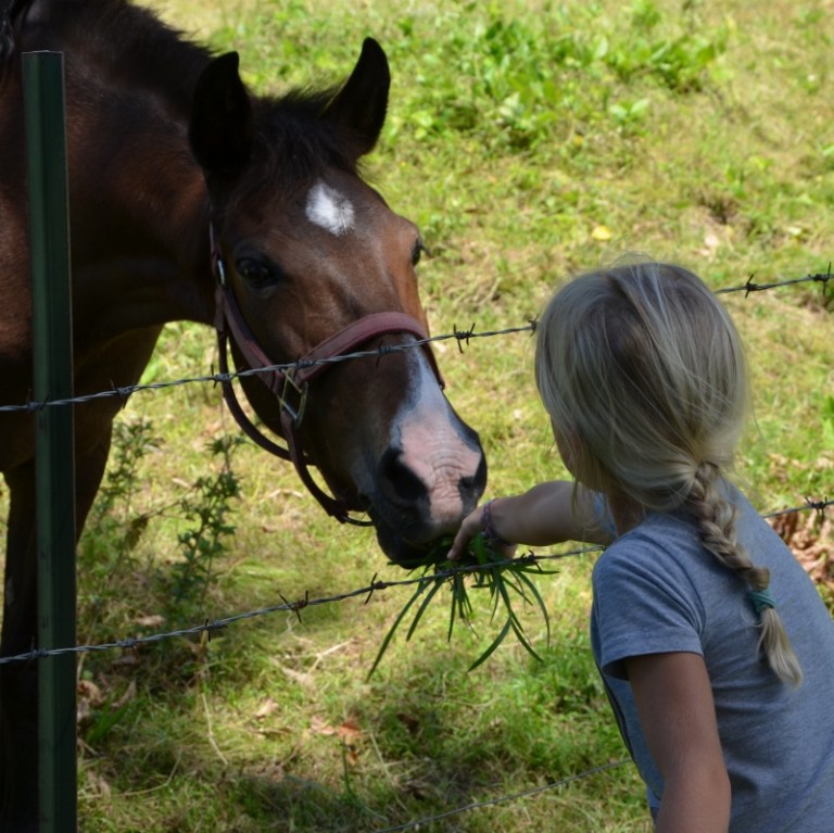 Richmond Vale Academy